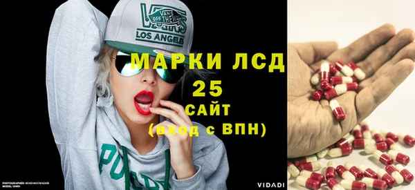 стаф Баксан