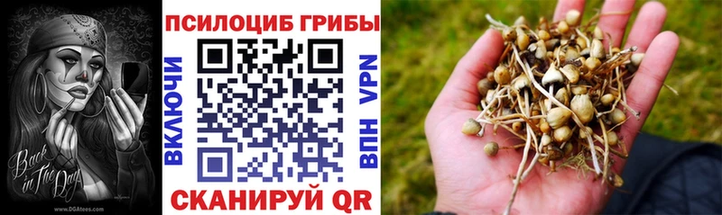 Псилоцибиновые грибы Cubensis  Безенчук 